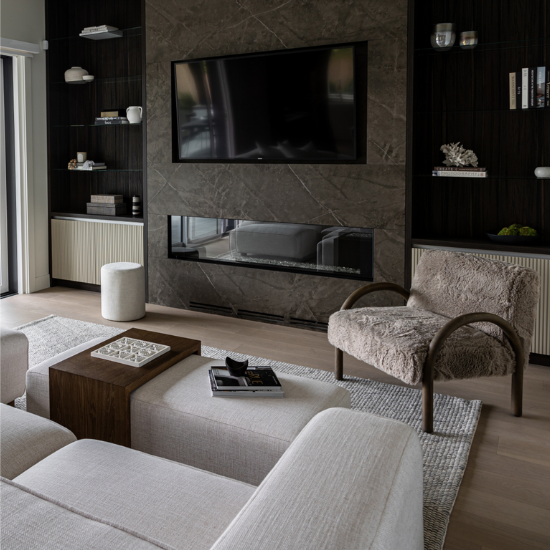 Eros Chair Shaggy Granite in Living Room