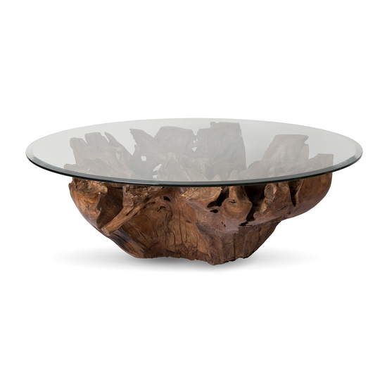 Large Natura Root Coffee Table with teak root base and glass top